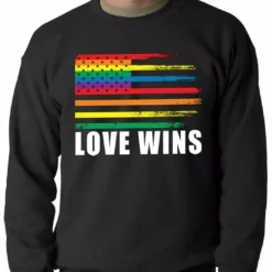 Bewild Love Wins - Gay Marriage Equality Adult Crewneck Positive Reinforcement