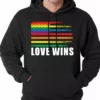 Bewild Love Wins - Gay Marriage Equality Adult Hoodie Positive Reinforcement