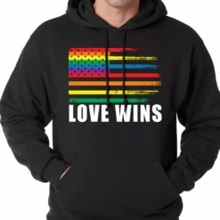 Bewild Love Wins - Gay Marriage Equality Adult Hoodie Positive Reinforcement