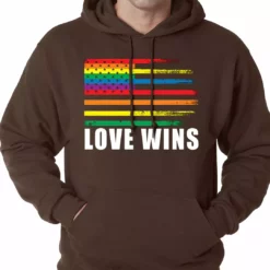 Bewild Love Wins - Gay Marriage Equality Adult Hoodie Positive Reinforcement