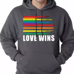 Bewild Love Wins - Gay Marriage Equality Adult Hoodie Positive Reinforcement