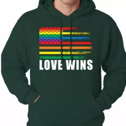 Bewild Love Wins - Gay Marriage Equality Adult Hoodie Positive Reinforcement