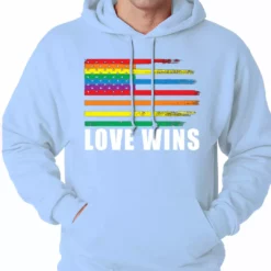 Bewild Love Wins - Gay Marriage Equality Adult Hoodie Positive Reinforcement