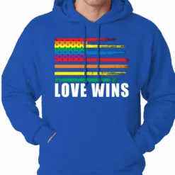 Bewild Love Wins - Gay Marriage Equality Adult Hoodie Positive Reinforcement
