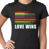 Bewild Love Wins - Gay Marriage Equality Ladies T-shirt
