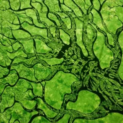 Bewild M. DuBois Signature Tree Of Life Tapestry