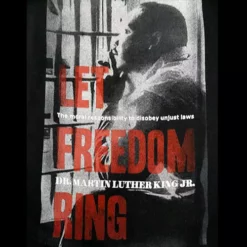 Bewild Nationality & Ethnic Martin Luther King Vision Adult Hoodie