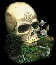 Bewild Metal Wear Hoodie Biker Style 4 Bewild Metal Wear Hoodie Biker Style