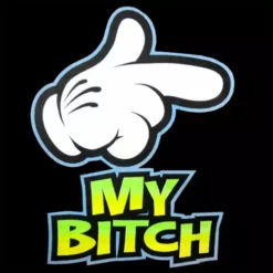 Bewild Cool Funny & Offensive My Bitch Adult Hoodie