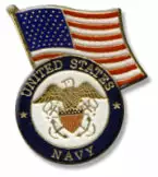 Bewild Navy With Flag Lapel Pin