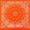Bewild Neon Orange Bandana (Glows Under Black Light) Bandannas