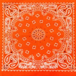 Bewild Neon Orange Bandana (Glows Under Black Light) Bandannas