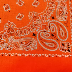 Bewild Neon Orange Bandana (Glows Under Black Light) Bandannas