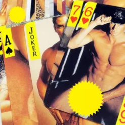 Bewild Adult Novelties Nude Men Playing Cards