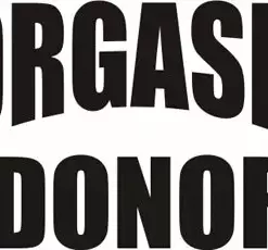 Bewild Orgasm Doner T-Shirt Cool Funny & Offensive