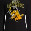 Bewild Sport Inspiration Hey Baltimore - Pittsburgh Guy With Middle Finger Thermal Long Sleeve Shirt