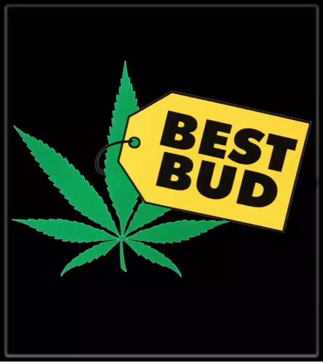 Bewild Pothead & Stoner Tees - Best Bud T-Shirt Cool Funny & Offensive 6 Bewild Pothead & Stoner Tees - Best Bud T-Shirt Cool Funny & Offensive