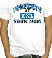 Bewild Cool Funny & Offensive Property Of Your Mom T-Shirt
