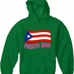 Bewild Puerto Rico Vintage Waving Flag Adult Hoodie