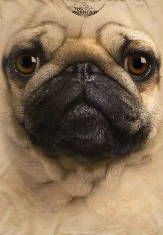 Bewild The Mountain Apparel Pug Big Face Men's T-Shirt 5 Bewild The Mountain Apparel Pug Big Face Men's T-Shirt