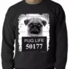 Bewild Mug Shot Pug Life Funny Adult Crewneck Cool Funny & Offensive 1 Bewild Mug Shot Pug Life Funny Adult Crewneck Cool Funny & Offensive
