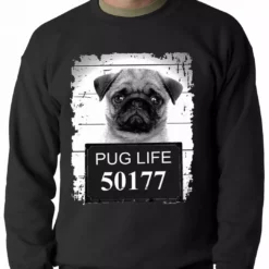 Bewild Mug Shot Pug Life Funny Adult Crewneck Cool Funny & Offensive