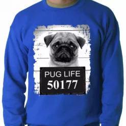 Bewild Mug Shot Pug Life Funny Adult Crewneck Cool Funny & Offensive