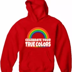 Bewild Positive Reinforcement Rainbow Pride Adult Hoodie