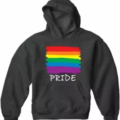 Bewild Rainbow Pride Colors Adult Hoodie
