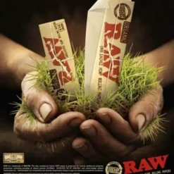 Raw - Perforated Wide Tips - [50 Per Booklet]