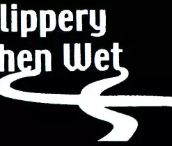 Bewild Thongs Slippery When Wet Thong