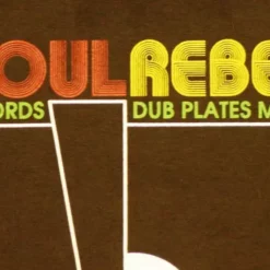 Bewild Soul Rebel Turntable T-Shirt (Brown)