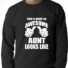Bewild This Is What An Awesome Aunt Looks Like Adult Crewneck Positive Reinforcement