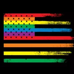 Bewild Rainbow Pride American Vintage Flag Adult Hoodie