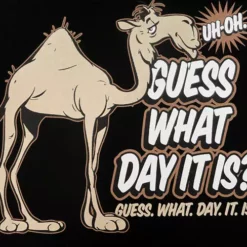 Bewild Guess What Day It Is? Camel Hump Day Girl's T-Shirt Cool Funny & Offensive