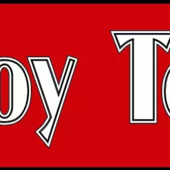 Bewild Boy Toy Girls T-Shirt Cool Funny & Offensive