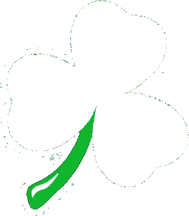 Bewild Flashing Light Up Shamrock Ladies T-Shirt (Kelly Green) St.Patricks Day 3 Bewild Flashing Light Up Shamrock Ladies T-Shirt (Kelly Green) St.Patricks Day