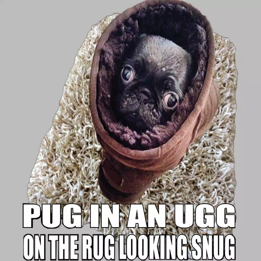 Bewild Pug In An Ugg On A Rug Looking Snug Mens T-shirt Cool Funny & Offensive 14 Bewild Pug In An Ugg On A Rug Looking Snug Mens T-shirt Cool Funny & Offensive