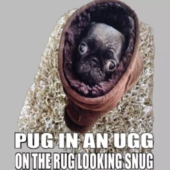Bewild Cool Funny & Offensive Pug In An Ugg On A Rug Looking Snug Thermal Shirt