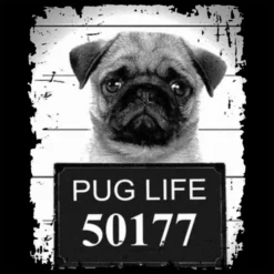 Bewild Mug Shot Pug Life Funny Tank Top 17 Bewild Mug Shot Pug Life Funny Tank Top