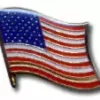 Bewild Waving American Flag Lapel Pin