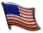 Bewild Waving American Flag Lapel Pin